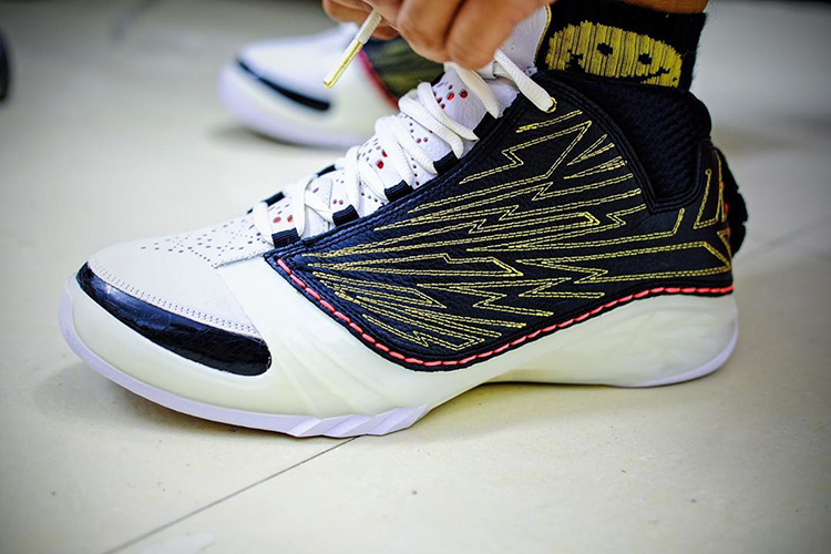 Titan x Air Jordan 23 Shoes